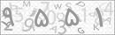 کد 4 رقمی تصویر را صحیح وارد کنید