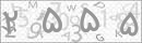 کد 4 رقمی تصویر را صحیح وارد کنید