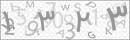 کد 4 رقمی تصویر را صحیح وارد کنید