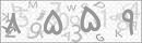 کد 4 رقمی تصویر را صحیح وارد کنید