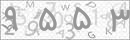 کد 4 رقمی تصویر را صحیح وارد کنید