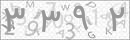 کد 4 رقمی تصویر را صحیح وارد کنید