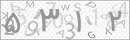 کد 4 رقمی تصویر را صحیح وارد کنید
