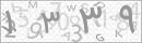 کد 4 رقمی تصویر را صحیح وارد کنید