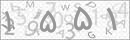 کد 4 رقمی تصویر را صحیح وارد کنید