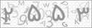 کد 4 رقمی تصویر را صحیح وارد کنید