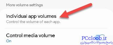 &quot Individual App Volumes&quotرا انتخاب کنید.