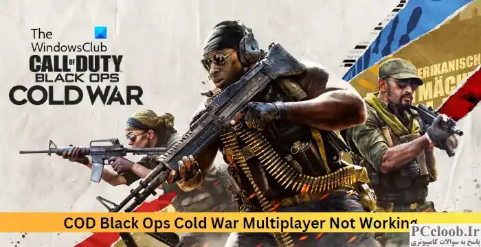 COD Black Ops Cold War Multiplayer کار نمی کند