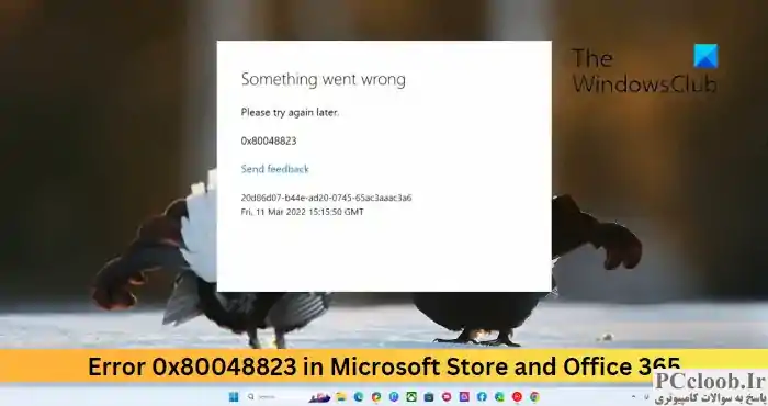 خطای 0x80048823 در Microsoft Store amd Office 365